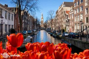 مهاجرت به هلند