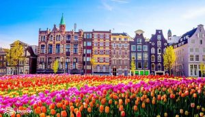 مزایای مهاجرت به هلند