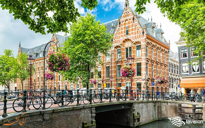 کار در هلند